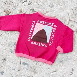 Zara Toddler Girls Pink Crew NWT